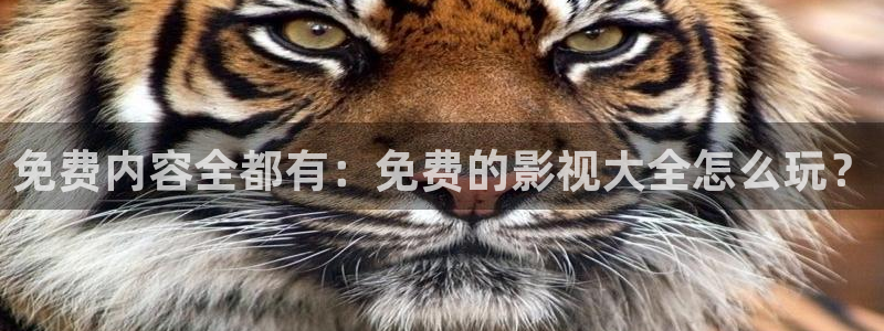 人人视影视：免费内容全都有：免费的影视大全怎么玩？