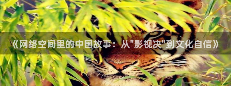南京人人从众影视有限公司：《网络空间里的中国故事：从\