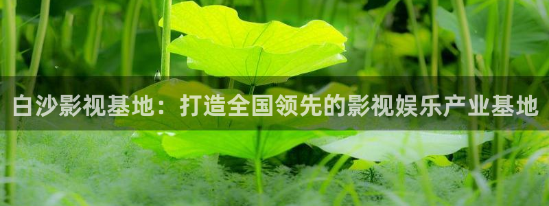 甄执  人人影视：白沙影视基地：打造全国领先的影视娱乐产业基地