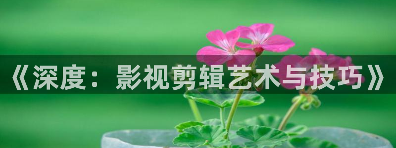 人人影院电视剧免费观看：《深度：影视剪辑艺术与技巧》
