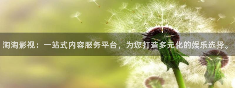 人人在线视频97：淘淘影视：一站式内容服务平台，为您打造多元化的娱乐选择。