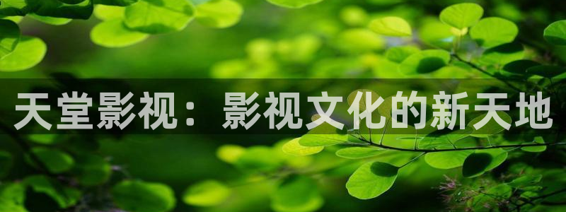 亚洲人人片：天堂影视：影视文化的新天地