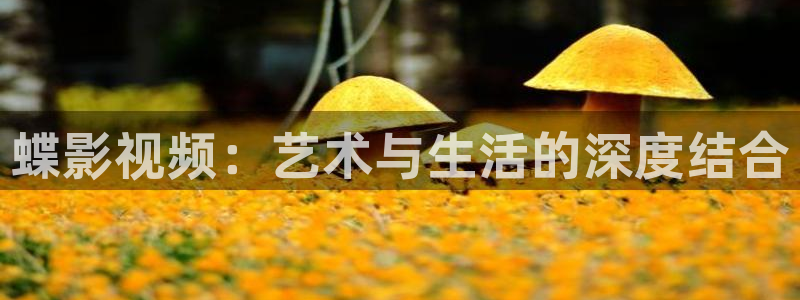 人人插人人播视频：蝶影视频：艺术与生活的深度结合