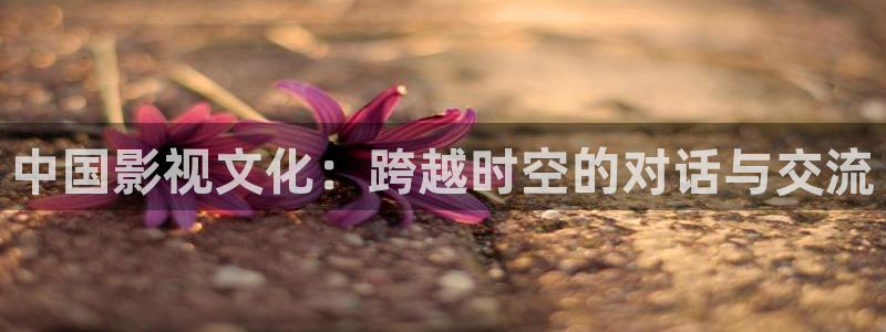 我为人人人人为我电影台词：中国影视文化：跨越时空的对话与交流